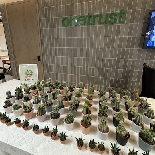 Cacti in the OneTrust office during Earth Day